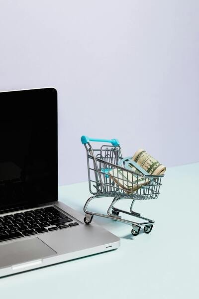 O Crescimento das Vendas Online e o Potencial do E-commerce